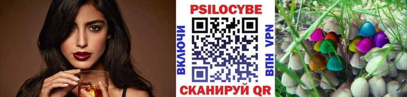 Купить закладки  Кологрив  Галлюциногенные грибы прущие грибы 